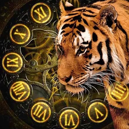 Талисманы года: камни Тигра